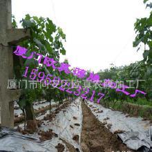 地膜打孔视频大全,地膜打孔视频大全精华汇总